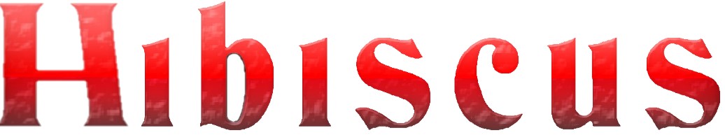 HIBISCUS- Grãos e Ervas